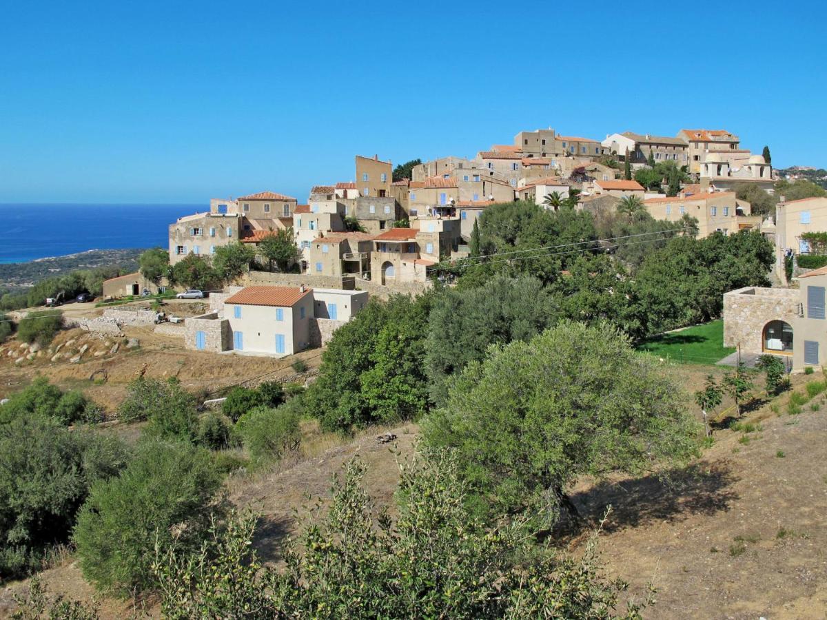 Apartment Residence De La Plage - Iru151 By Interhome LʼÎle-Rousse Exteriör bild